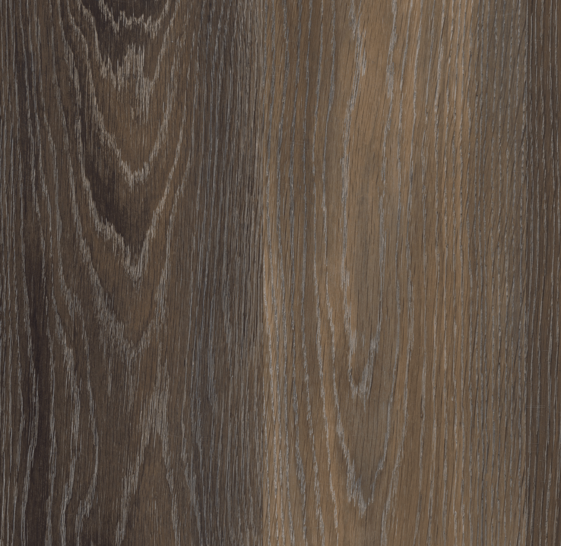 Shadow Bark