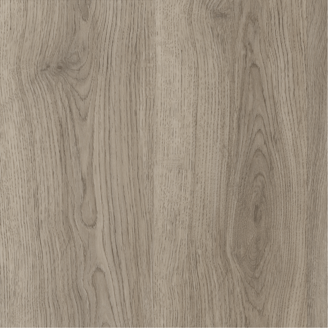 Silverline Oak