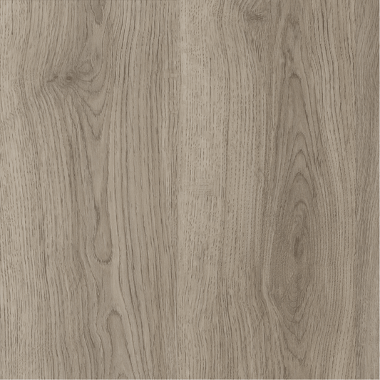 Silverline Oak