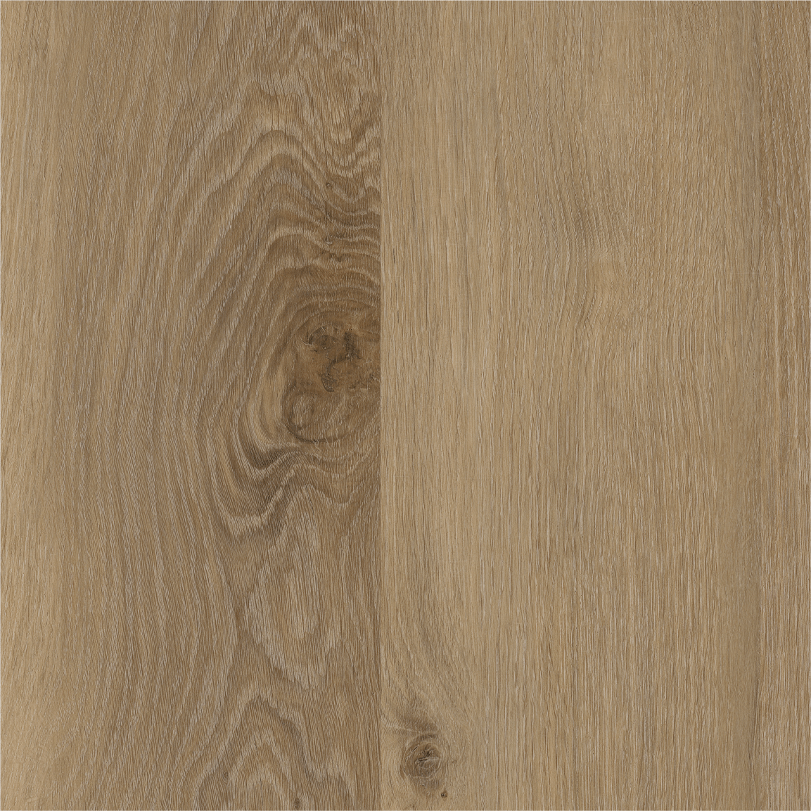 Sand Oak