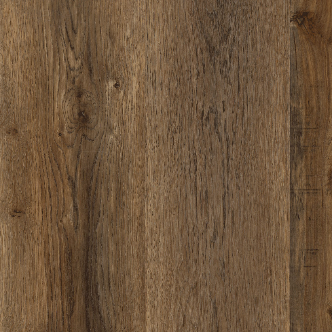 Burnished Chestnut