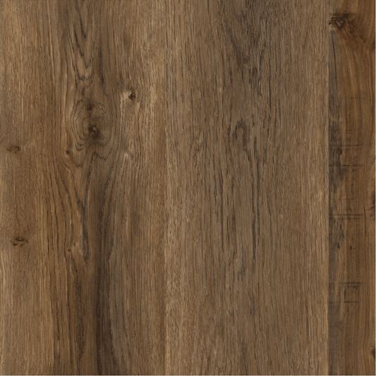 Burnished Chestnut